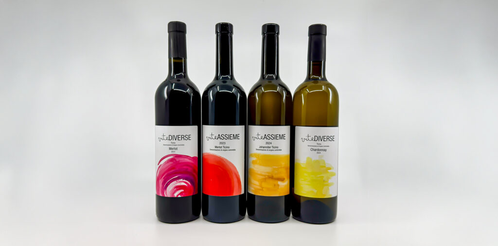 Nuovo volto, stessa anima: i vini della Fondazione si rinnovano